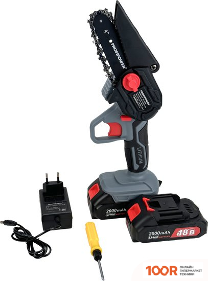 Profipower MKGSD-18V (С 2-МЯ АКБ) (312955)