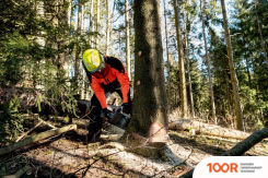 Metabo MS 36-18 LTX BL 40 601613850 (БЕЗ АКБ) (312861)