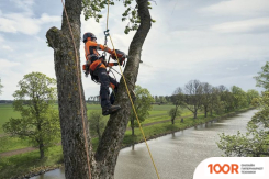 Husqvarna T540XP MARK III (312734)