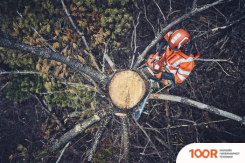 Husqvarna 562 XP MARK II 970663518 (312730)