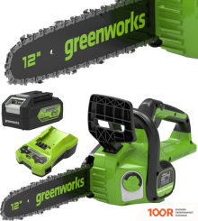 Greenworks GD24CS30 (С 1-ИМ АКБ) (312661)