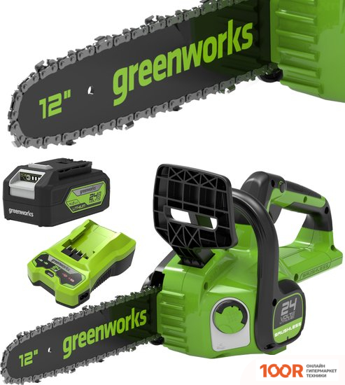 Greenworks GD24CS30 (С 1-ИМ АКБ) (312661)