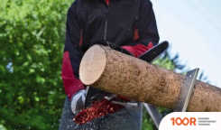 Einhell GC-PC 2040 I (312558)