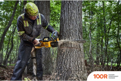 DeWalt DCMCS575X1 (С 1-ИМ АКБ) (312496)