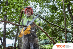 DeWalt DCMCS575N (БЕЗ АКБ) (312495)