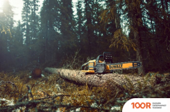 DeWalt DCM575N-XJ (БЕЗ АКБ) (312491)