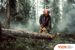 DeWalt DCM575N-XJ (БЕЗ АКБ) (312491)