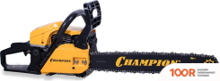 Champion A256-18 (312411)