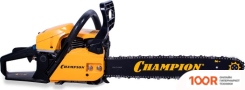Champion A251-18 (312408)