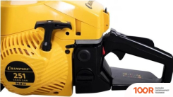 Champion 251-15 (312398)