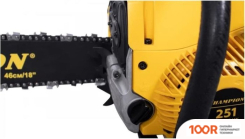 Champion 251-15 (312398)