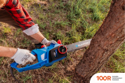 Blaupunkt CS3010 (312322)