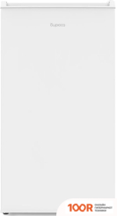 Холодильник Бирюса 85 (312068)