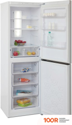 Холодильник Бирюса 840NF (312067)