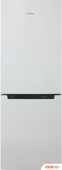 Холодильник Бирюса 820NF (312066)