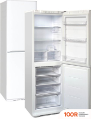 Холодильник Бирюса 631 (312054)