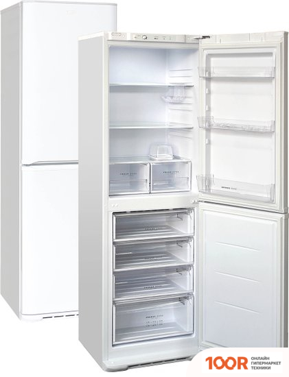 Холодильник Бирюса 631 (312054)