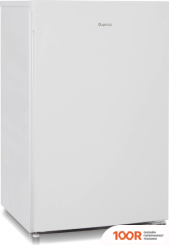 Холодильник Бирюса 6048 (312040)