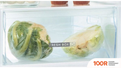 Холодильник Whirlpool ART 66102 (311765)