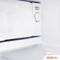 Холодильник Tesler RC-95 (БЕЖЕВЫЙ) (311521)