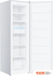 Холодильник TECHNO FN1-24 (311485)