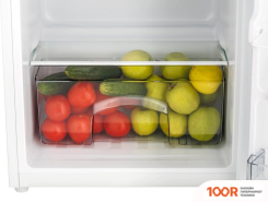 Холодильник TECHNO DF1-11S (311479)