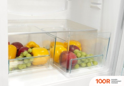 Холодильник Snaige RF36SM-S0002G0 (311289)