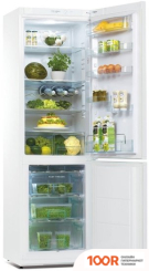 Холодильник Snaige RF36SM-S0002G0 (311289)