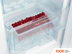 Холодильник Snaige RF32SM-S0002F (311271)