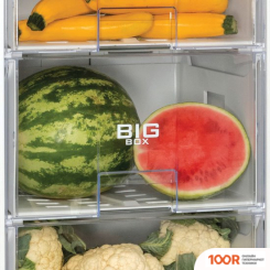 Холодильник Snaige F 22SM-P1000F1 (311175)