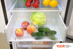 Холодильник Nordfrost NRB 154 232 (310267)