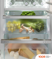 Холодильник Liebherr IRBPDI 5170 PEAK (309604)