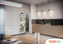 Холодильник Liebherr IRBPCI 5170 (309603)