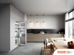 Холодильник Liebherr IRBPCI 5170 (309603)