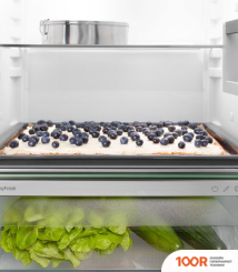 Холодильник Liebherr IRBD 4520 PLUS (309582)