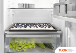 Холодильник Liebherr ICNF 5103 PURE NOFROST (309522)