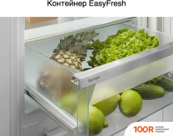 Холодильник Liebherr ICF 5103 PURE (309506)