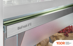 Холодильник Liebherr ICBSD 5122 PLUS (309500)