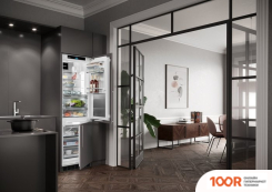 Холодильник Liebherr ICBNDI 5173 PEAK BIOFRESH NOFROST (309493)