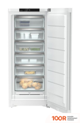 Холодильник Liebherr FND 7026 PLUS NOFROST (309439)