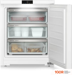 Холодильник Liebherr FE 1003 PURE (309424)