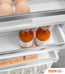 Холодильник Liebherr CNDEX 5223 PLUS NO FROST (309324)