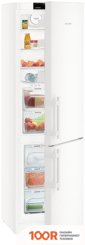 Холодильник Liebherr CBN 4835 COMFORT (309245)