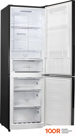 Холодильник LEX RFS 203 NF BL (309036)