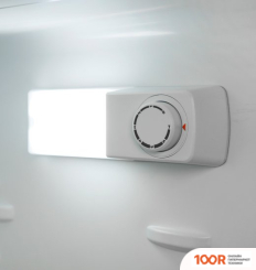 Холодильник LEX RFS 201 DF IX (309032)