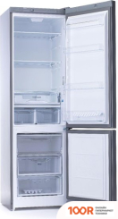 Холодильник Indesit DS 4200 G (308539)