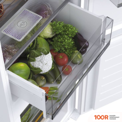 Холодильник Haier HBW5518ERU (307945)