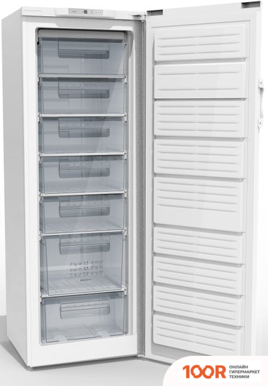 Холодильник Gorenje F6171CW (307703)