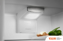 Холодильник Electrolux RNT8TE18S (307634)