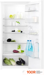 Холодильник Electrolux LRB3AE12S (307589)